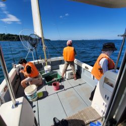 サンマリン 釣果