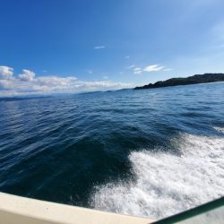 サンマリン 釣果