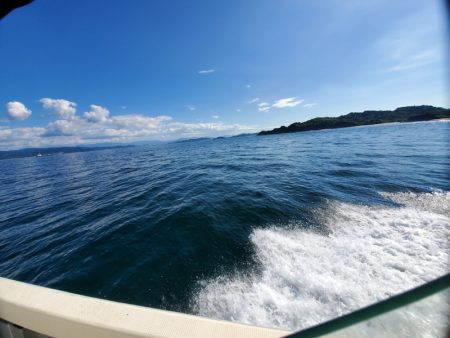 サンマリン 釣果