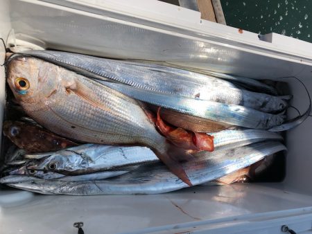 末広丸(熊本) 釣果