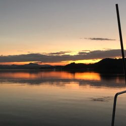 末広丸(熊本) 釣果