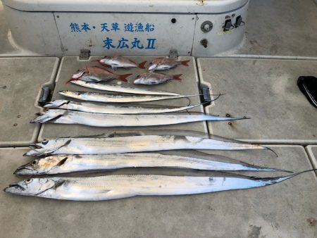 末広丸(熊本) 釣果