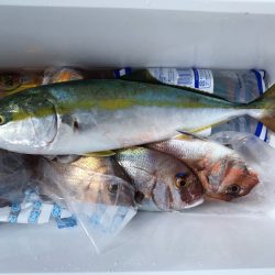 第二八坂丸 釣果