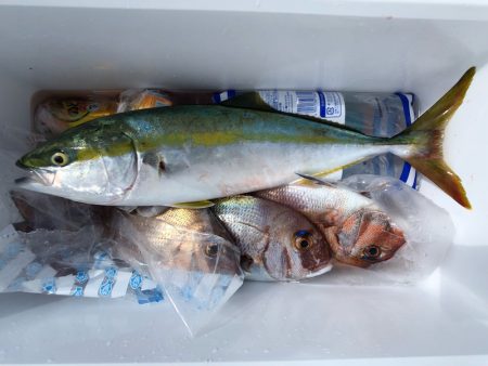 第二八坂丸 釣果