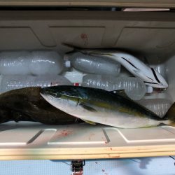 第二八坂丸 釣果