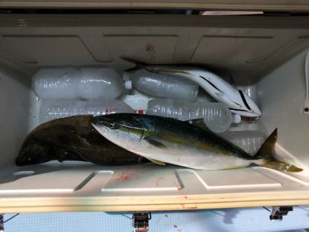 第二八坂丸 釣果