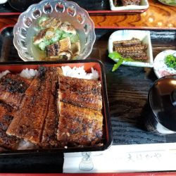 アマテラス 釣果