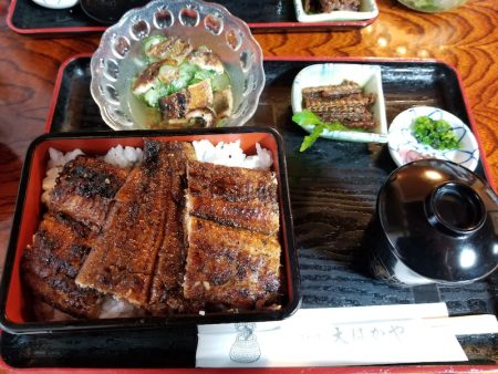 アマテラス 釣果