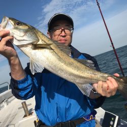 ランスルー 釣果