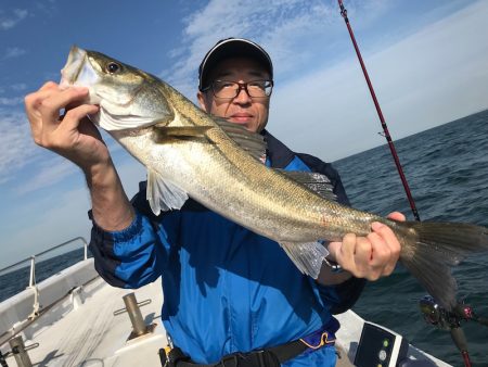 ランスルー 釣果