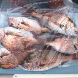 第二八坂丸 釣果