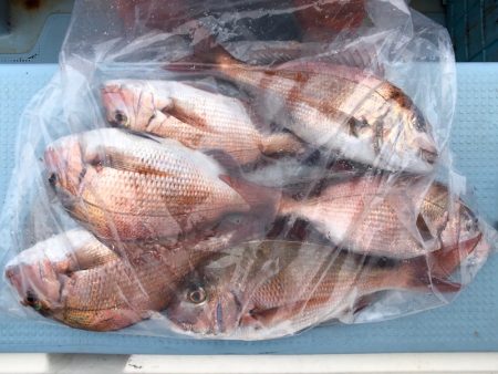 第二八坂丸 釣果