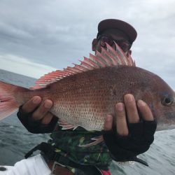 ランスルー 釣果