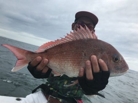 ランスルー 釣果