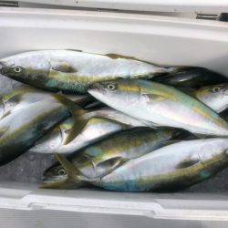 Chase(チェイス) 釣果