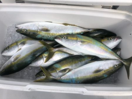 Chase(チェイス) 釣果