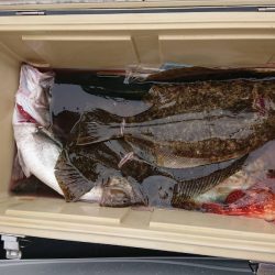 海龍丸（石川） 釣果