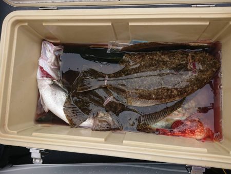 海龍丸（石川） 釣果