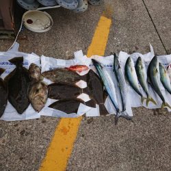 海龍丸（石川） 釣果