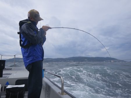 Chase(チェイス) 釣果