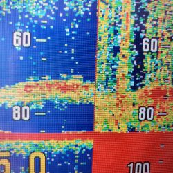 サンマリン 釣果