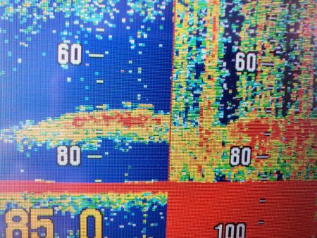 サンマリン 釣果