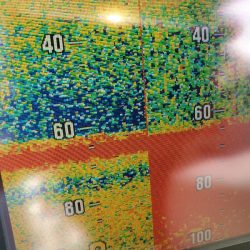 サンマリン 釣果