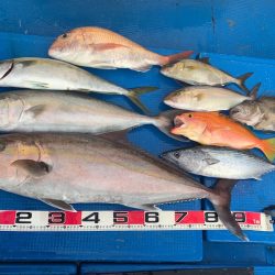 釣鯛洋 釣果
