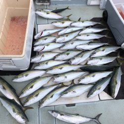 エムズジャーク(M’s JERK) 釣果