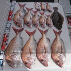 遊漁船 家入 釣果