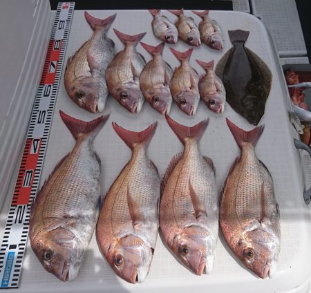 遊漁船 家入 釣果