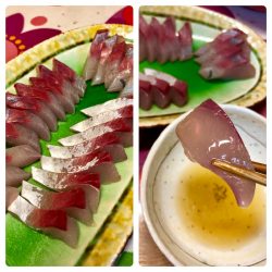 ビッグファイター 釣果