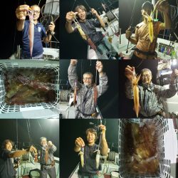 シーライオン 釣果