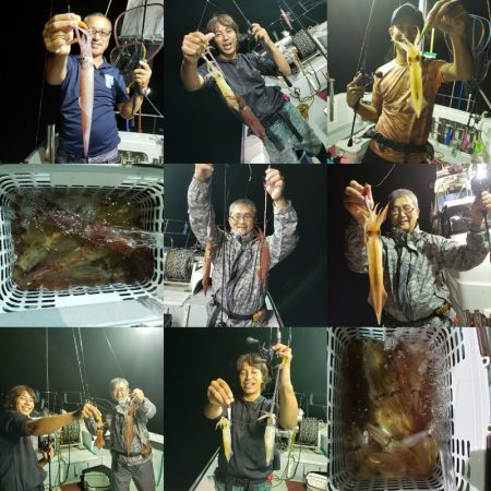 シーライオン 釣果