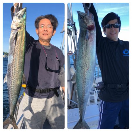 ビッグファイター 釣果