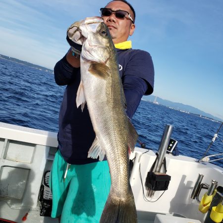 シーライオン 釣果