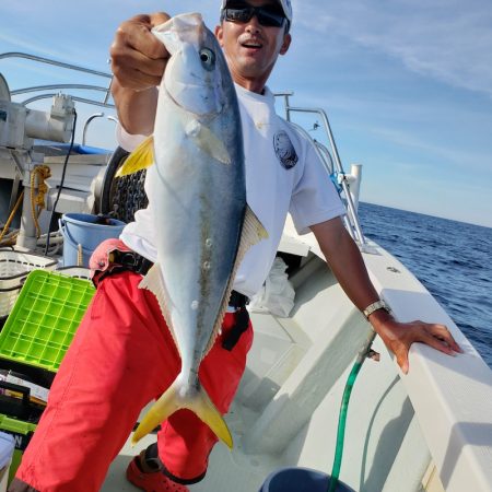 シーライオン 釣果