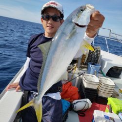 シーライオン 釣果