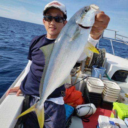 シーライオン 釣果