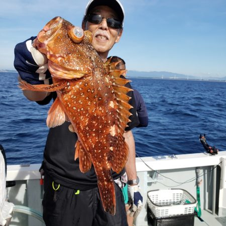 シーライオン 釣果