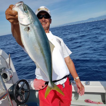 シーライオン 釣果