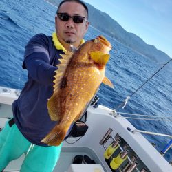 シーライオン 釣果