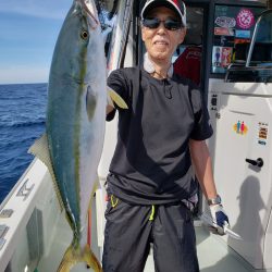 シーライオン 釣果