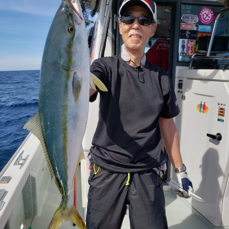 シーライオン 釣果