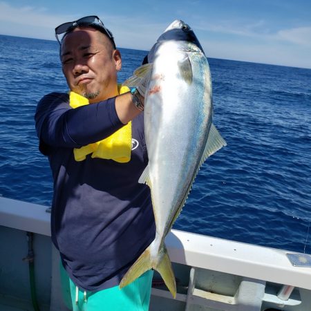 シーライオン 釣果