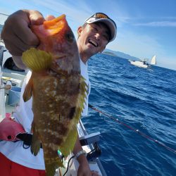 シーライオン 釣果