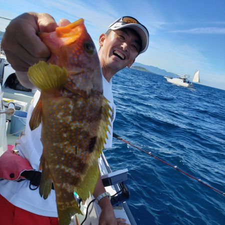 シーライオン 釣果