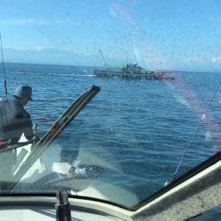 フィッシング キッタカ 釣果