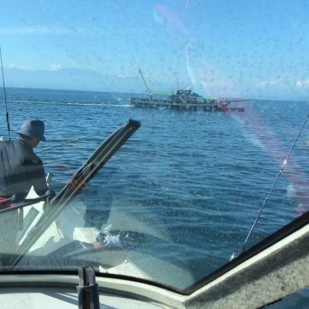 フィッシング キッタカ 釣果