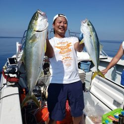 シーライオン 釣果